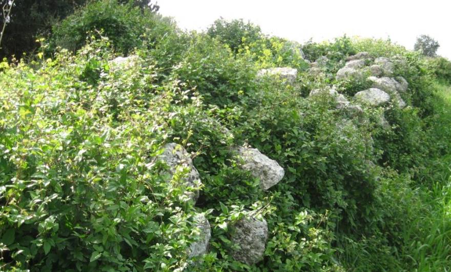 תמונות: זלזלת הקנוקנות