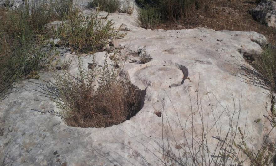 תמונות: מתקן חצוב, כנראה להפקת שמן זית, מדרום למבנה