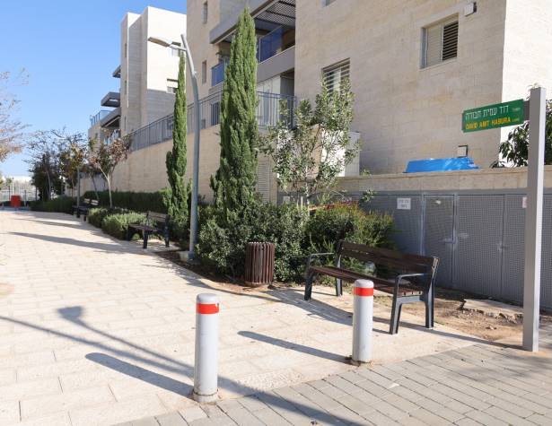 משעול דוד עמית חבורה