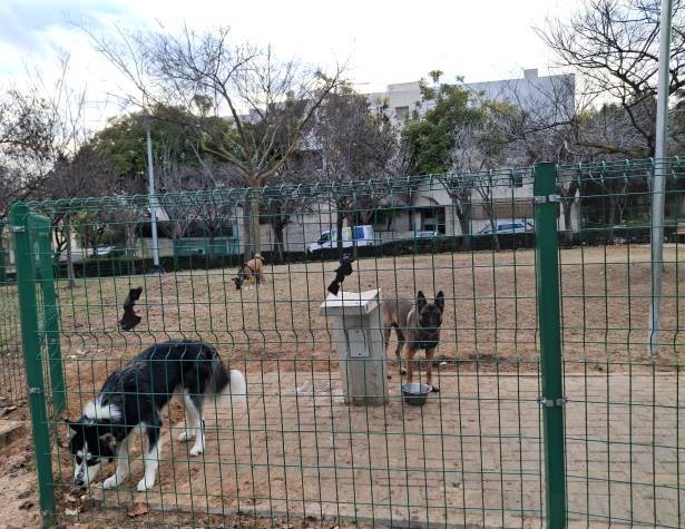 גינת כלבים בנחל צלמון