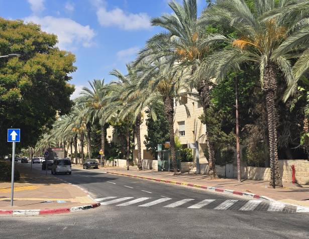 שדרת הדקלים בעמק החולה