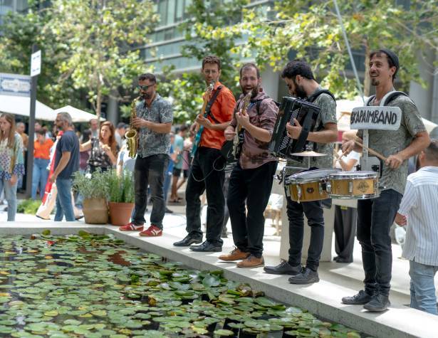 תמונת המחשה. צילום: נטי לוי תמונת המחשה. צילום: נטי לוי