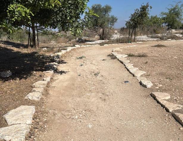 הנגשת גבעת התיתורה