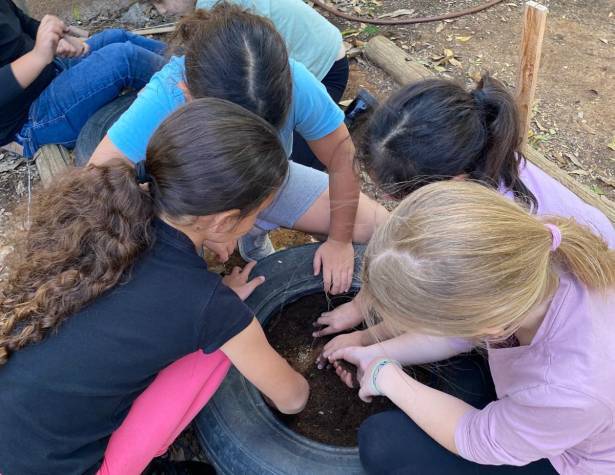 זורעים לעתיד, תמונת המחשה זורעים לעתיד, תמונת המחשה