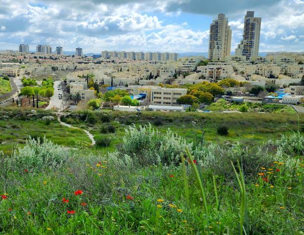 מודיעין מכבים רעות