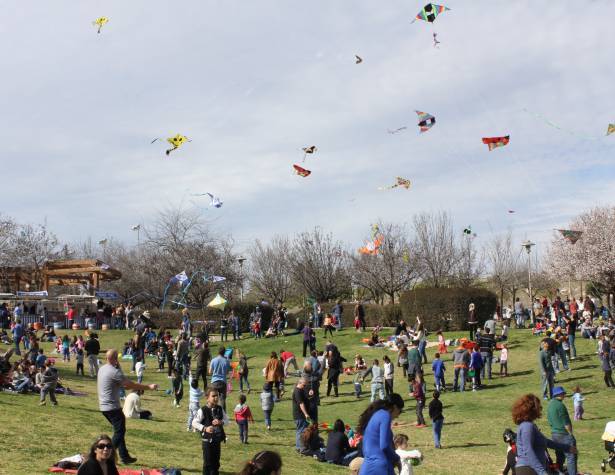 העפיפוניאדה חוזרת – תמונת המחשה העפיפוניאדה חוזרת – תמונת המחשה