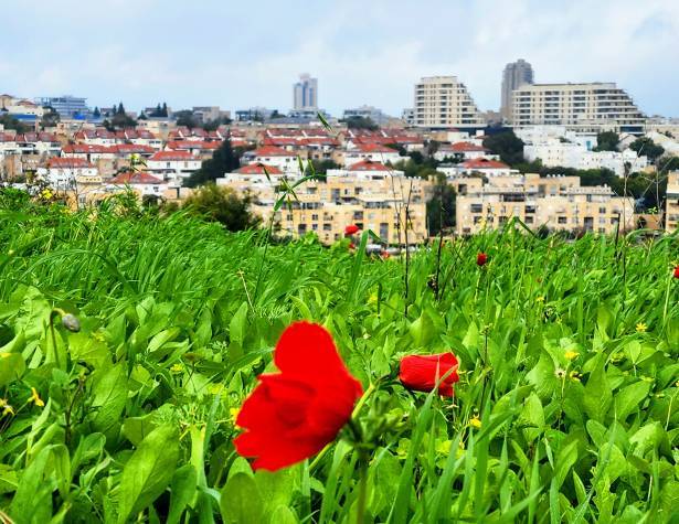 תמונת המחשה תמונת המחשה
