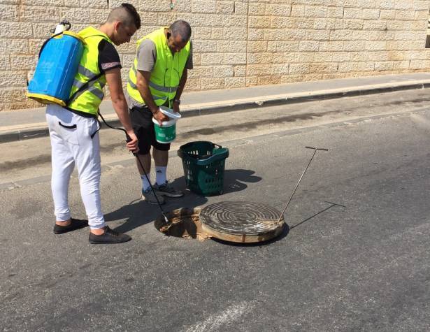 ריסוס נגד יתושים ריסוס נגד יתושים