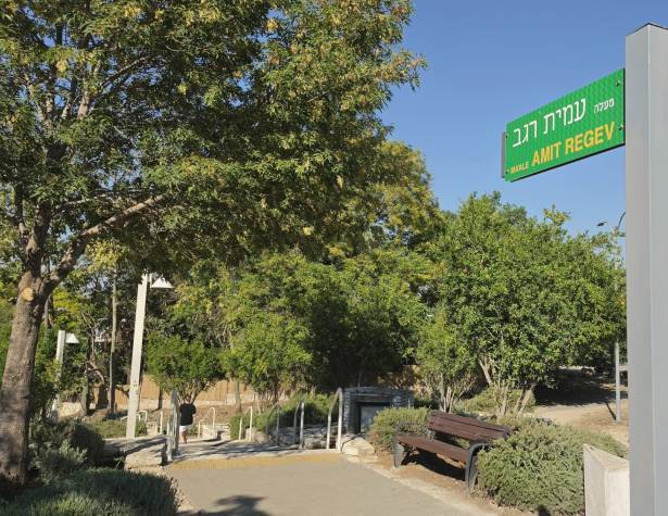 מעלה עמית רגב מעלה עמית רגב