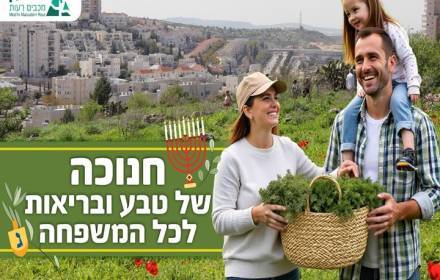 סיורי ליקוט