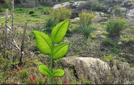 כך הולכים השותלים- נטיעות עירוניות כך הולכים השותלים- נטיעות עירוניות