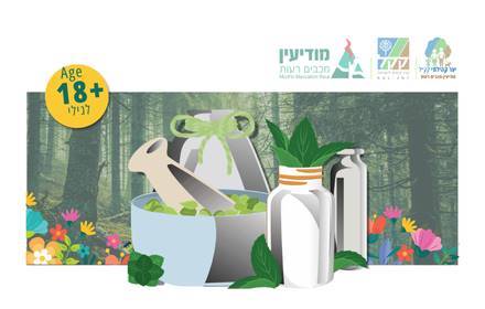 EARLY WINTER FORAGING WALK in the Community Fores EARLY WINTER FORAGING WALK in the Community Fores