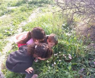 ילדי הגנים חוקרים את הטבע
