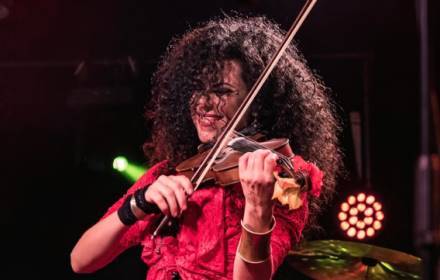 הכינור הנודד- טניה וינוקור הכינור הנודד- טניה וינוקור