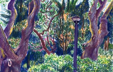 בין צילום לרישום בתיתורה (סדנה)